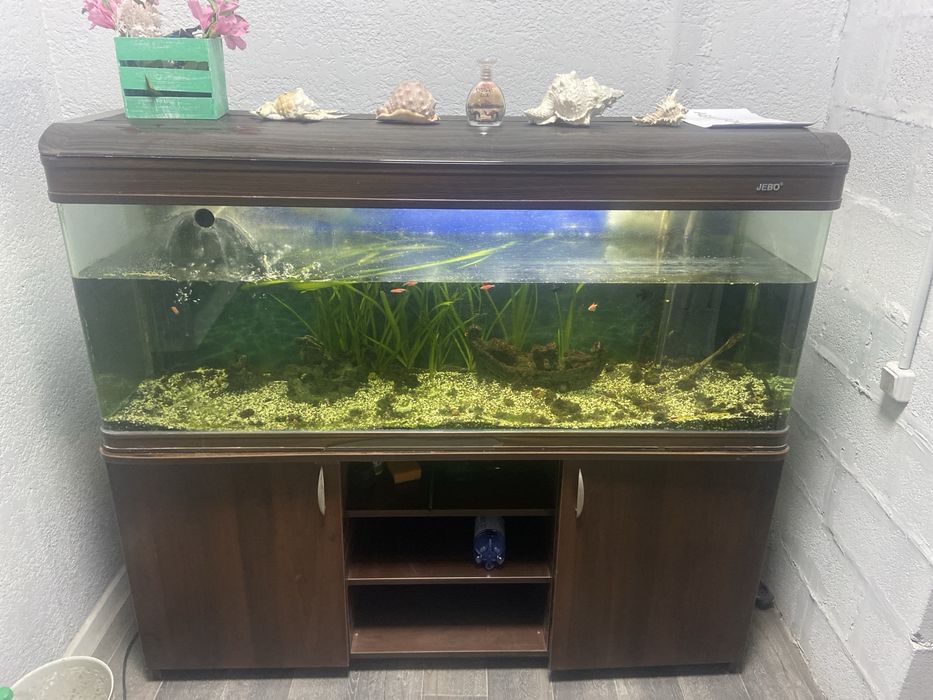 Продам аквариум 250-300 литров