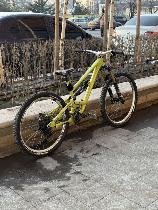 Yt capra full custom 2024