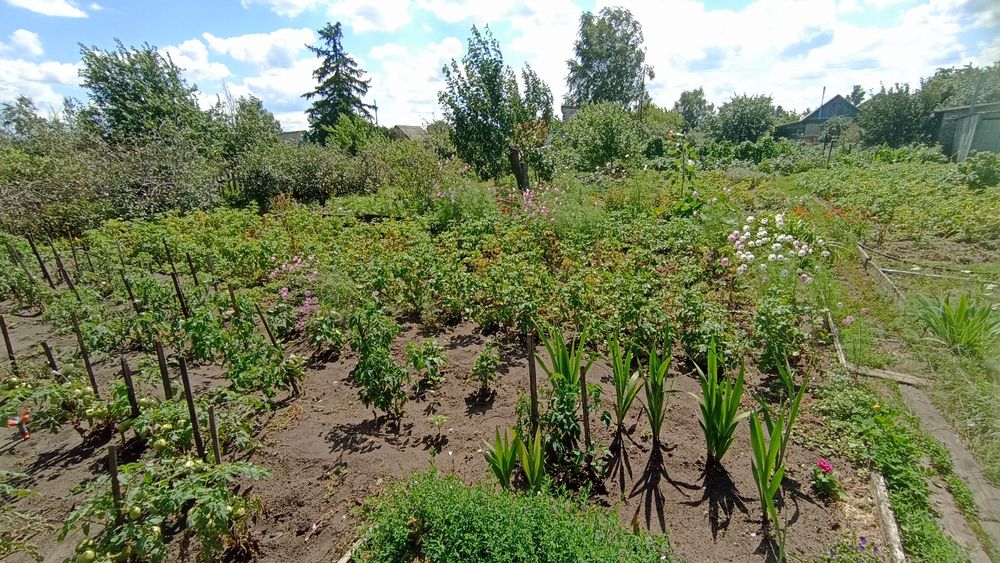 Дача СО Автомобилист