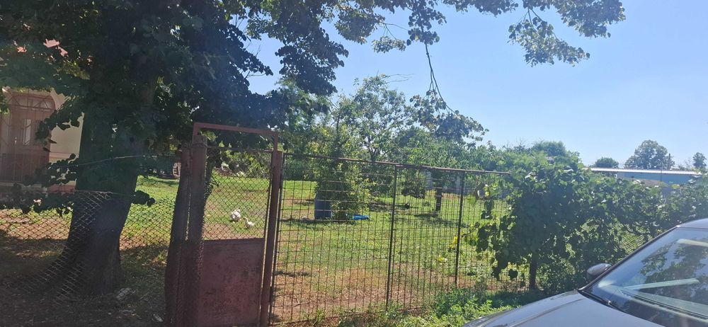 Vand casa in Comuna Ciocanesti, jud Calarasi