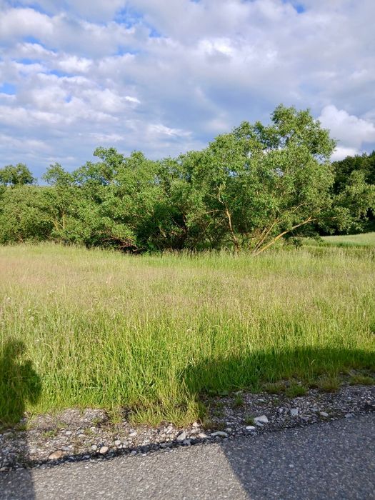 Teren intravilan de vânzare –com. Chinteni | 2.900mp |