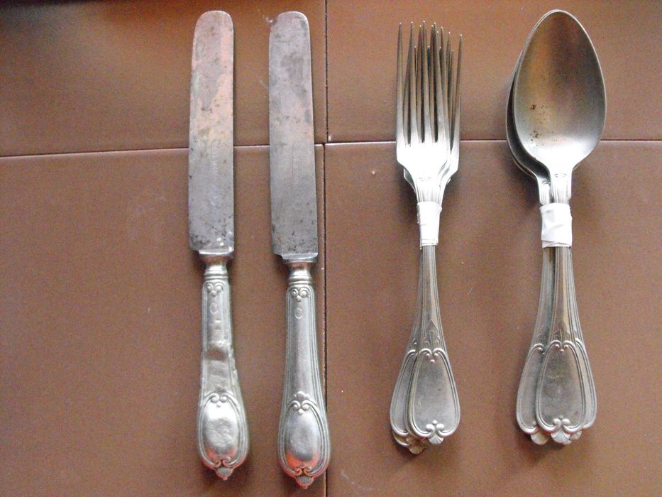 Прибори за хранене на AWS WELLNER.