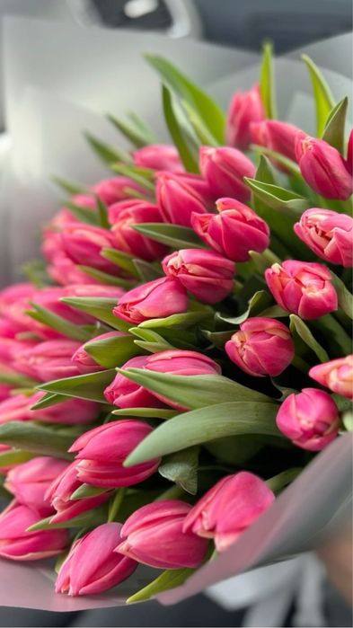 Тюльпаны на 8 марта и 14 февраля