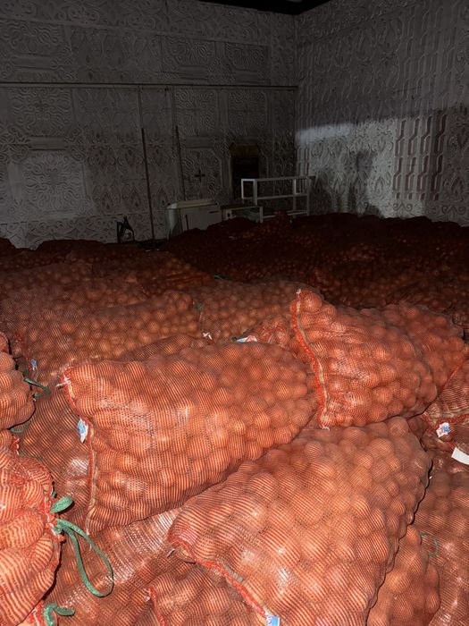 Продам Картофель