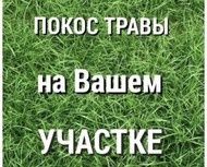 Покос Травы Треммиром На Вашем Участке.