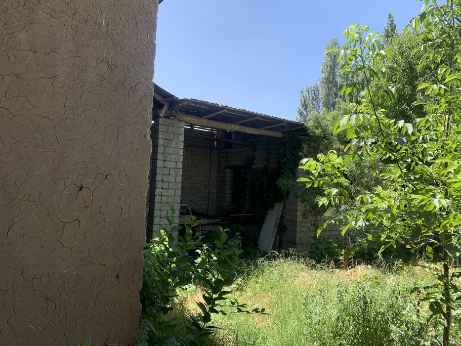 Участка 6 сотихли срочни