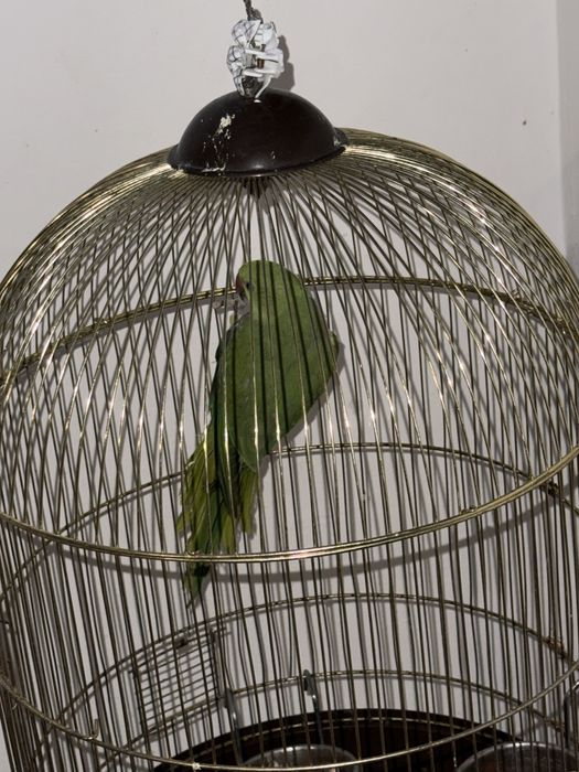 Micul Alexander 10 luni