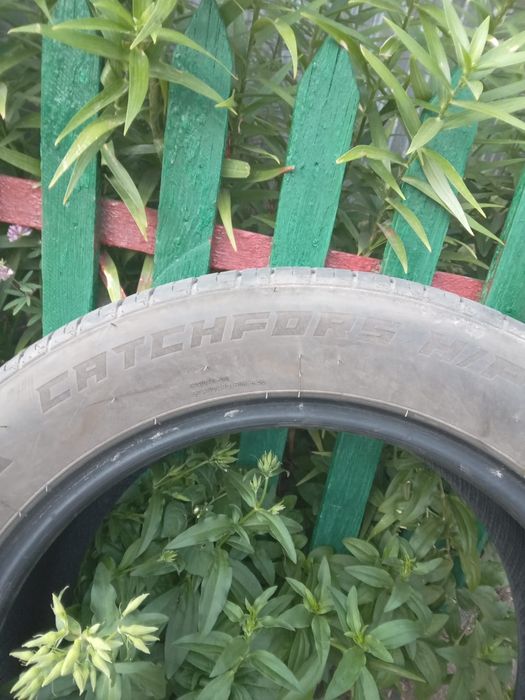 Продам шиный 10000