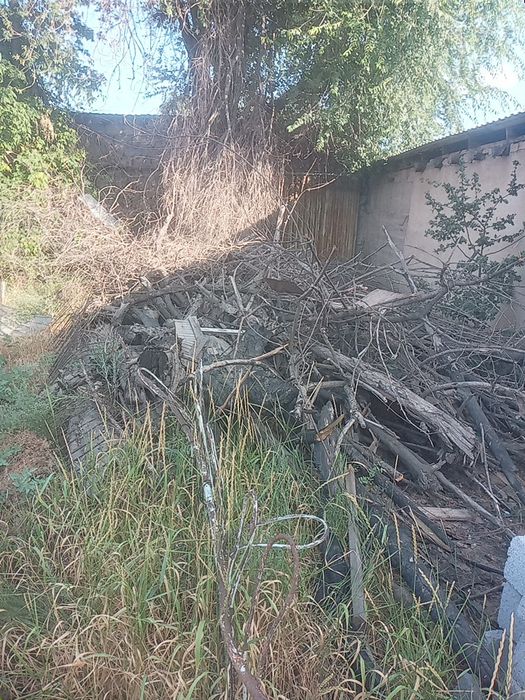 Дрова бесплатно самовывоз