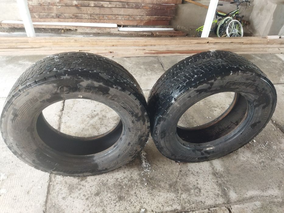 Шина гордиант для тягача