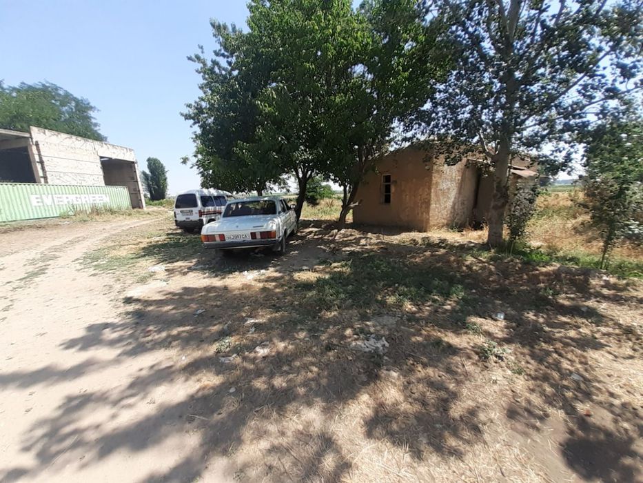 Ферма Тошкент вилояти Чиноз туман