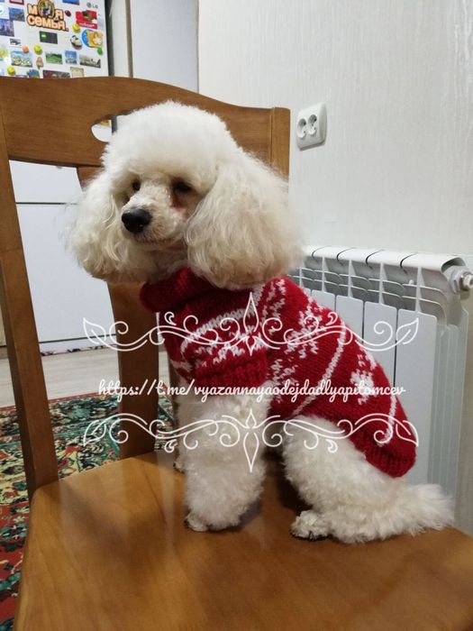 Одежда для собак и кошек на заказ