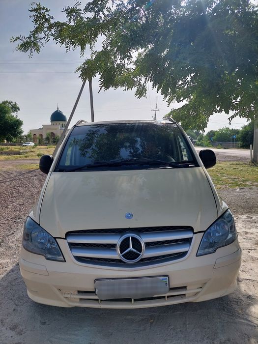 Mercedes Ben's Vito 639 miniven