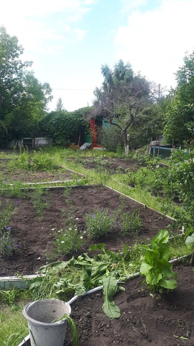 Продам дачу в навопавловке