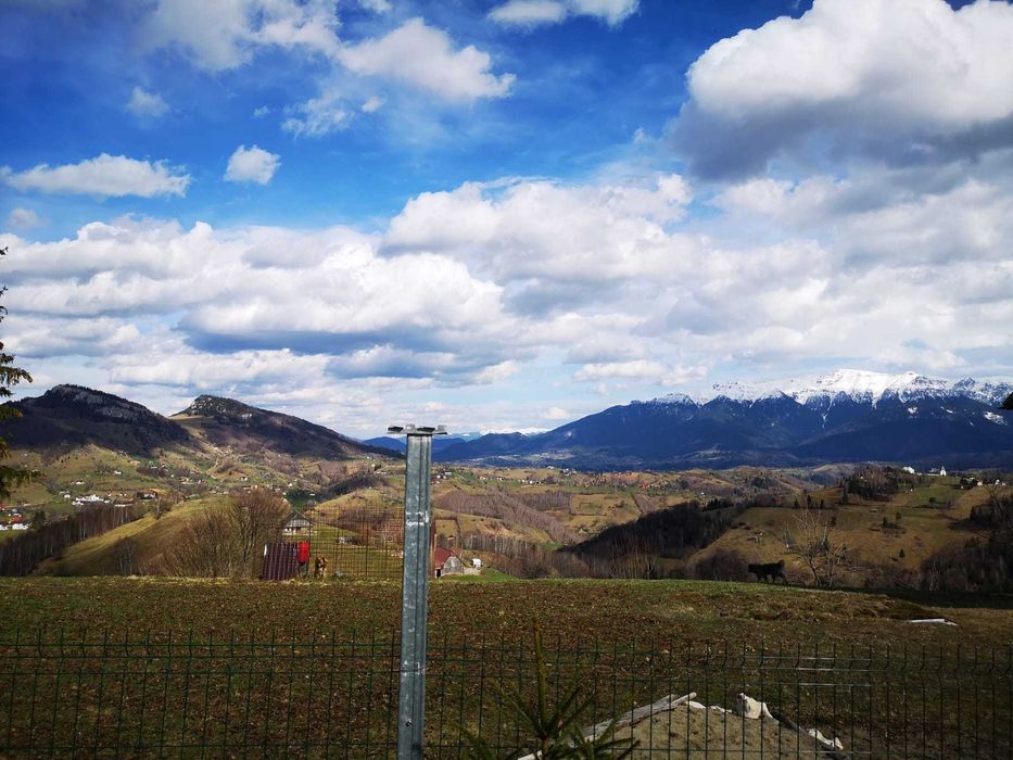 Teren intravilan cu PUZ sat Pestera - Moieciu - 4000 mp (apa, gaz, curent)