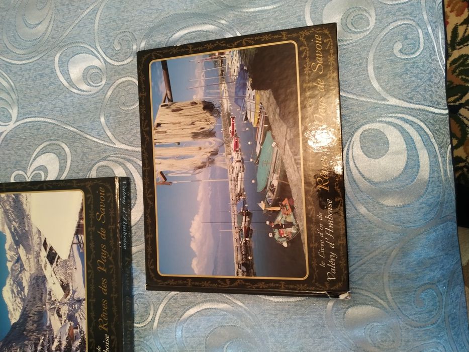 Книга о достопримечательностях Савойи ( на французском языке).