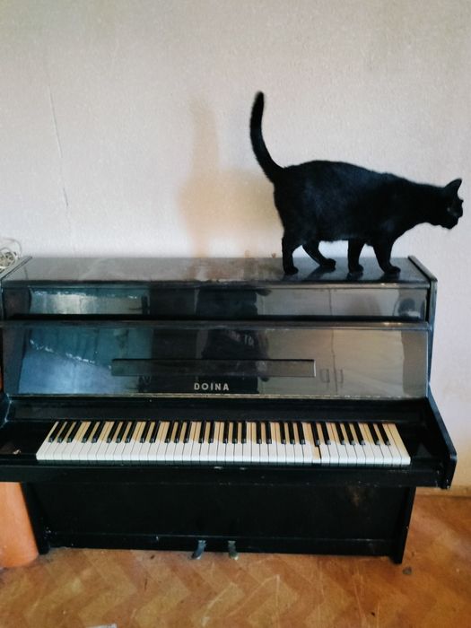 Vând o pianina Doina din anul 1983