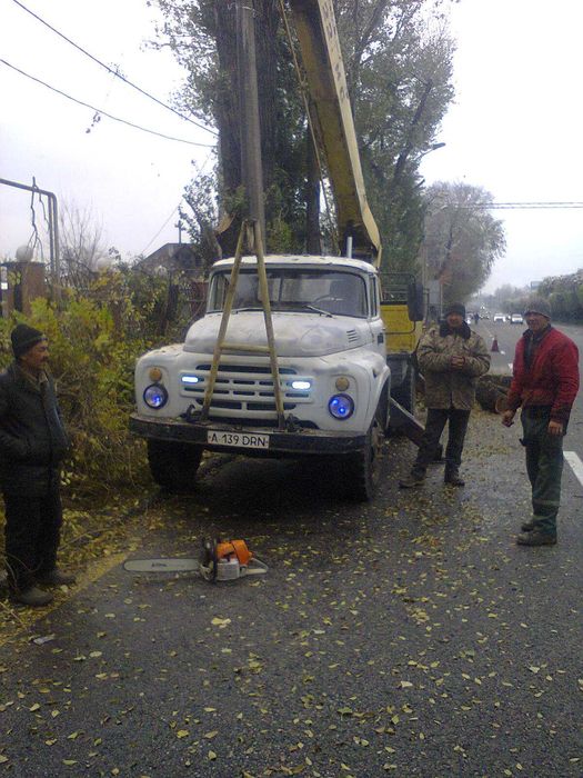 Спил деревьев,санитарная обрезка.