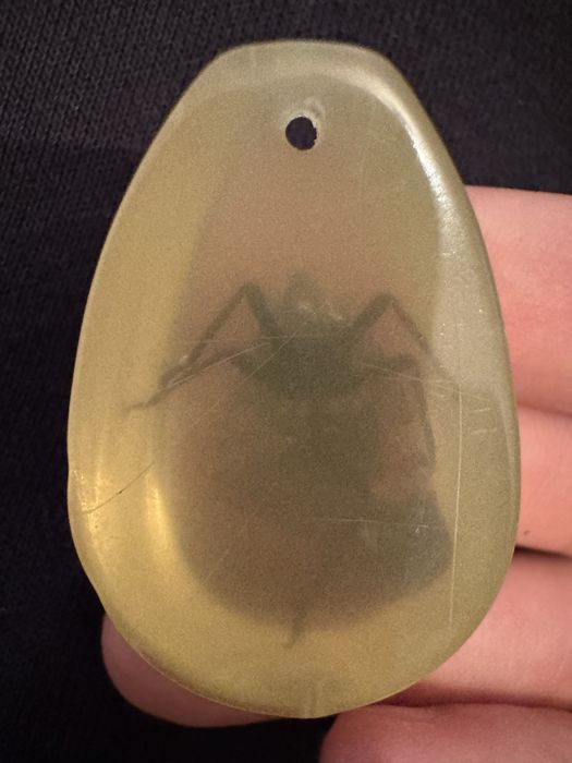 Препарирана пеперуда