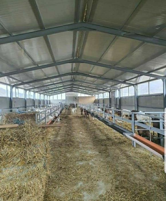 Vand hala pe structura metalică stil saivan de 30×12×4