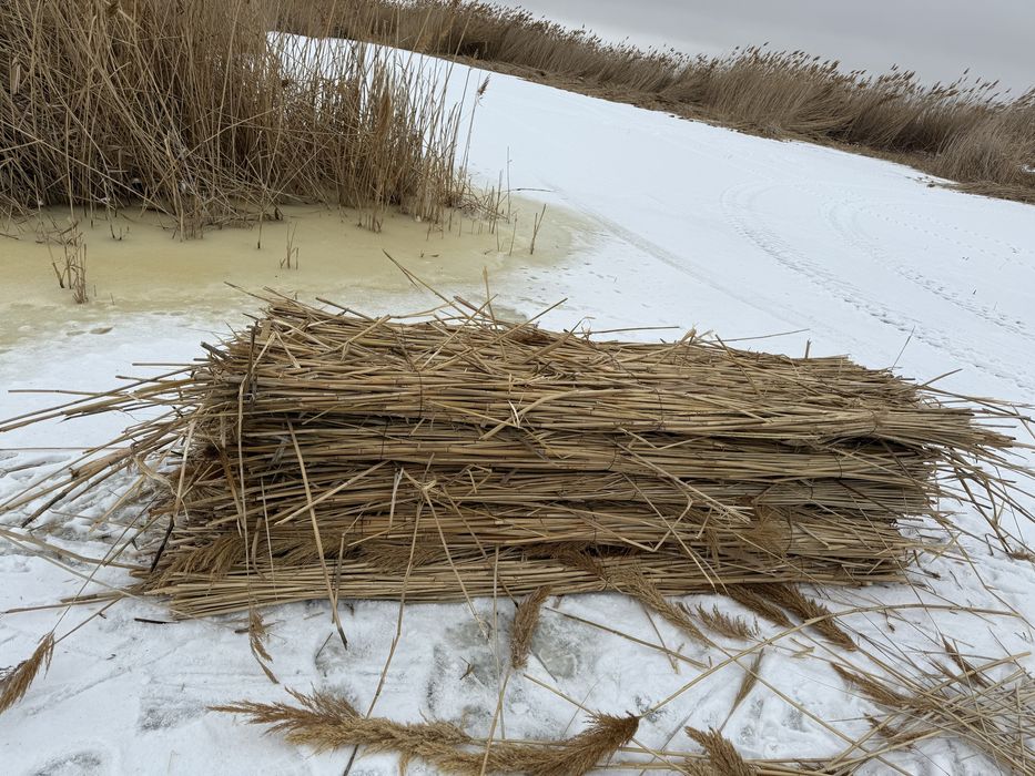 Қамыс(Камыш Плита)