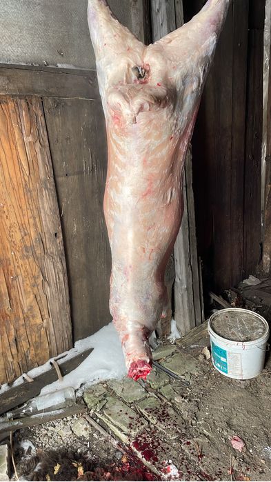 Мясо баранина жирные