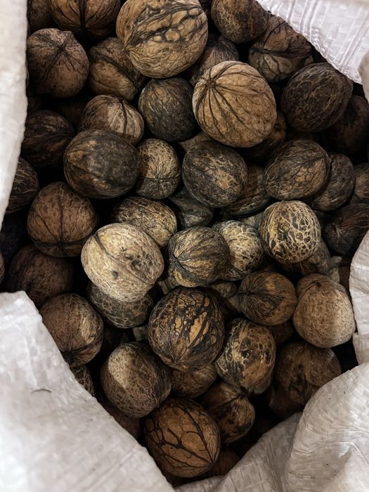 Продам орехи грецкие, местные