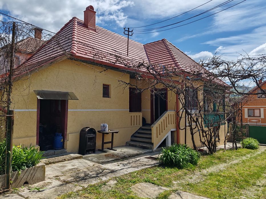 Casa familiala + spatiu comercial