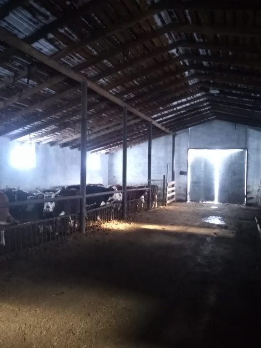 крестьянское хозяйство