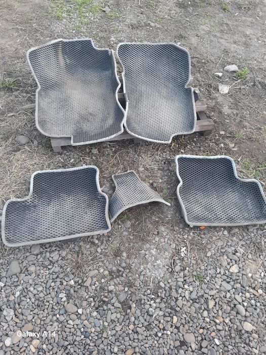 Ева полика dddddddddddd