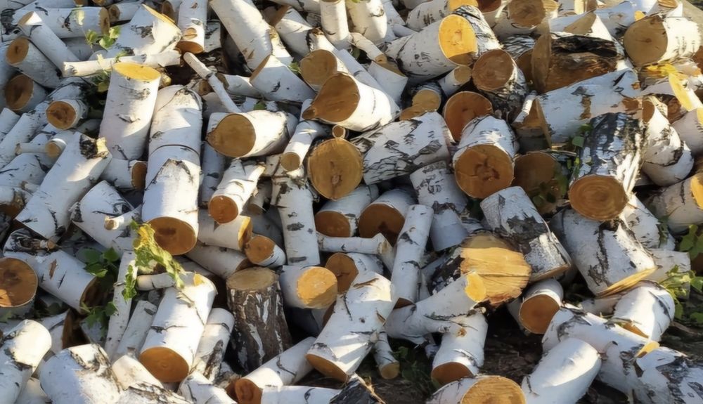 Берёза продам дрова