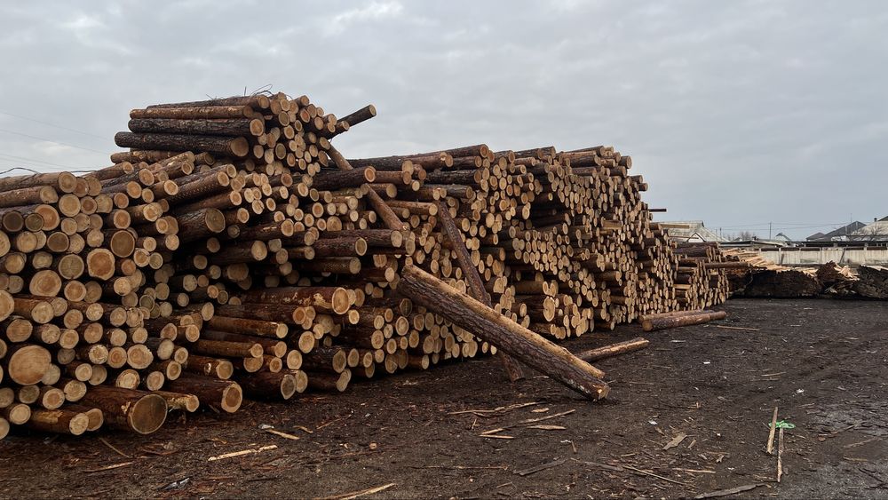 Пиломатериалы | Строиматериалы | Ағаштар | Кругляк | Брус | Стропилы