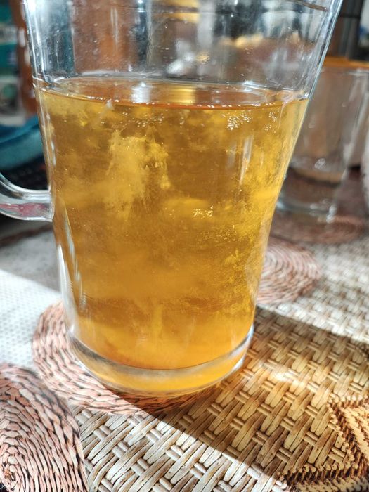 Kombucha pentru miere Kombucha JUN