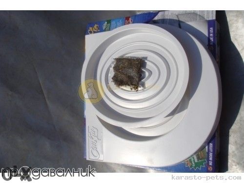 Citykitty Преход за тоалетна чиния за Котки - котешка тоалетна