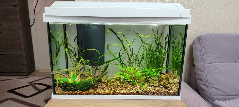 Аквариум Tetra 60 литров