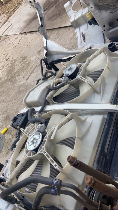 Радитор альфард