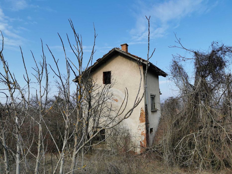 Продава се Земеделски имот в Лом -  кв.м за 2805 €/дка - Снимка #12