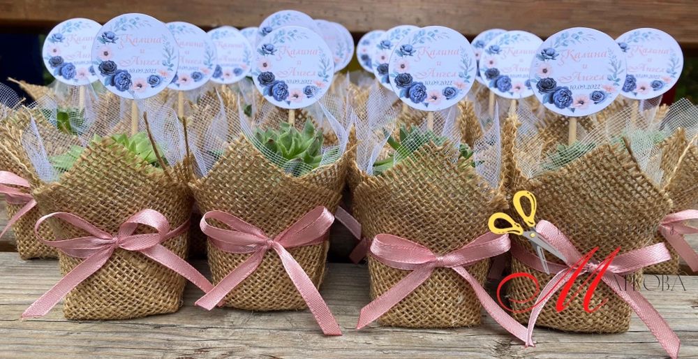 Сукуленти,подаръци за гости,кръщене,подаръци за гостите,подаръци цветя