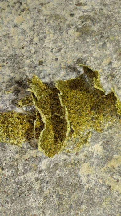 Ёгли кунжара бор хеч кандай аралашмаларсиз.  Копли.оккургон туманида