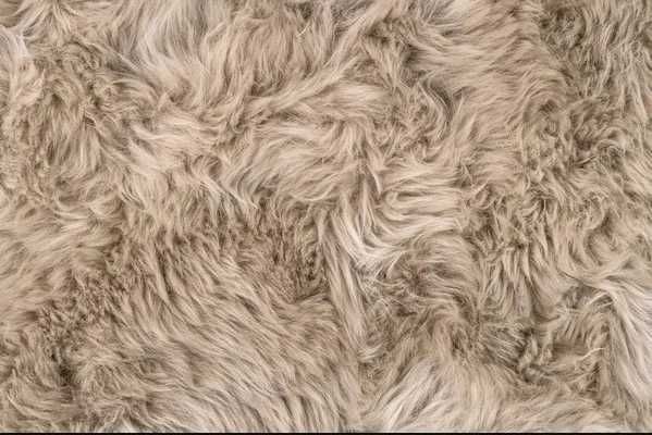 Piele de oaie - blana 100% naturala. - 60 ron bucata