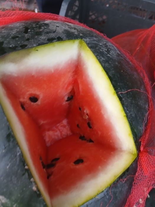 Арбуз тарвуз  доставка