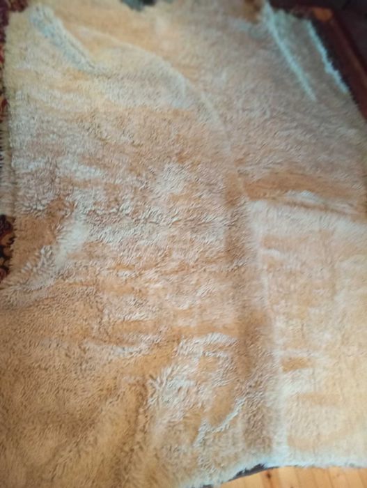 Китеници нови различни размери