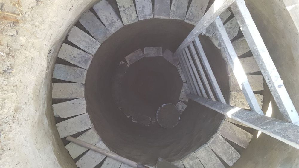 Куза калодис козамиз нархи 1 милион