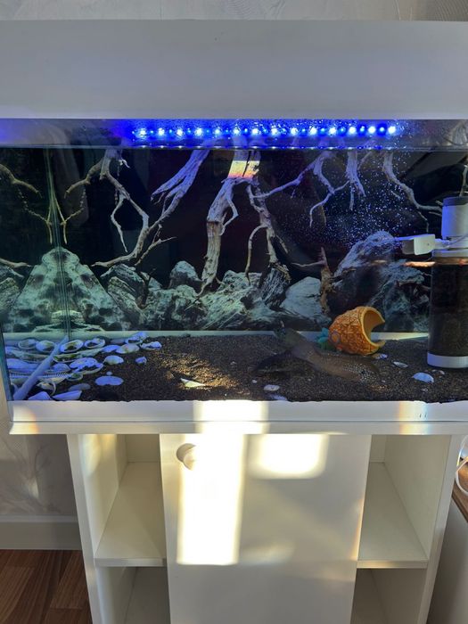 Аквариум с рыбками