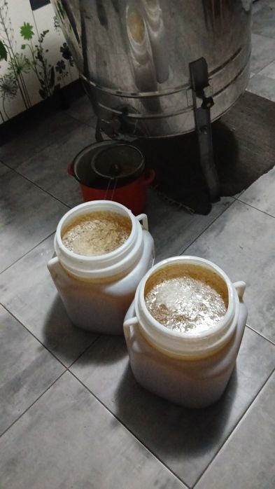 Miere albine angro