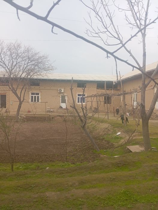 30/40метир атрофи уралган мевали дарахтлари бор