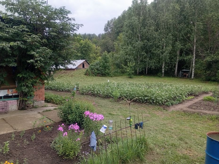 Дача с пасекой (за Тарханкой)