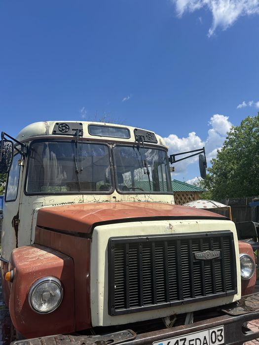 Продам живой КавЗ