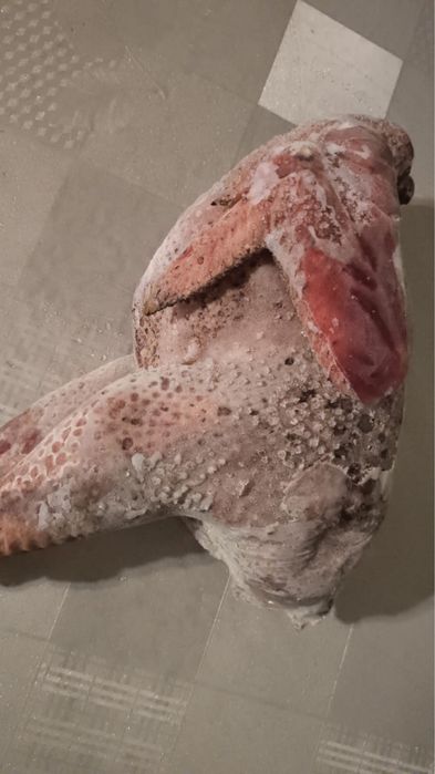 Продам мясо кур домашних
