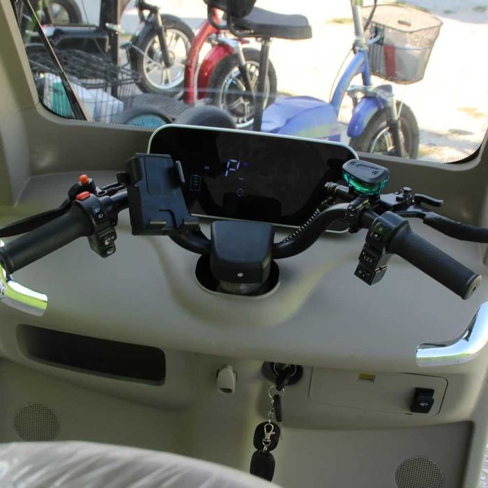 Триместна електрическа триколка LUXURY BUS 2000W/60V/25Ah - GREEN